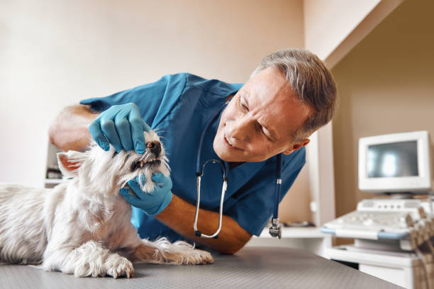 Best Emergency Root Canal Treatment in Mount Olive, AL